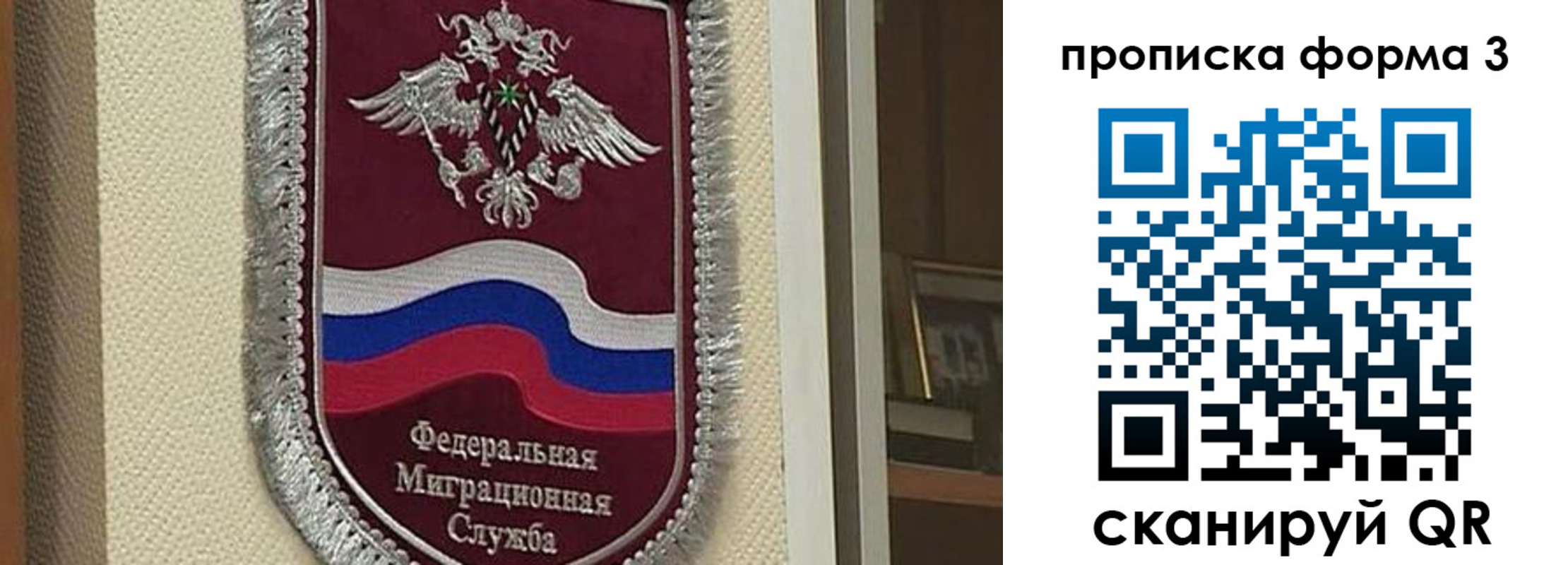 где прописаться в Александрове